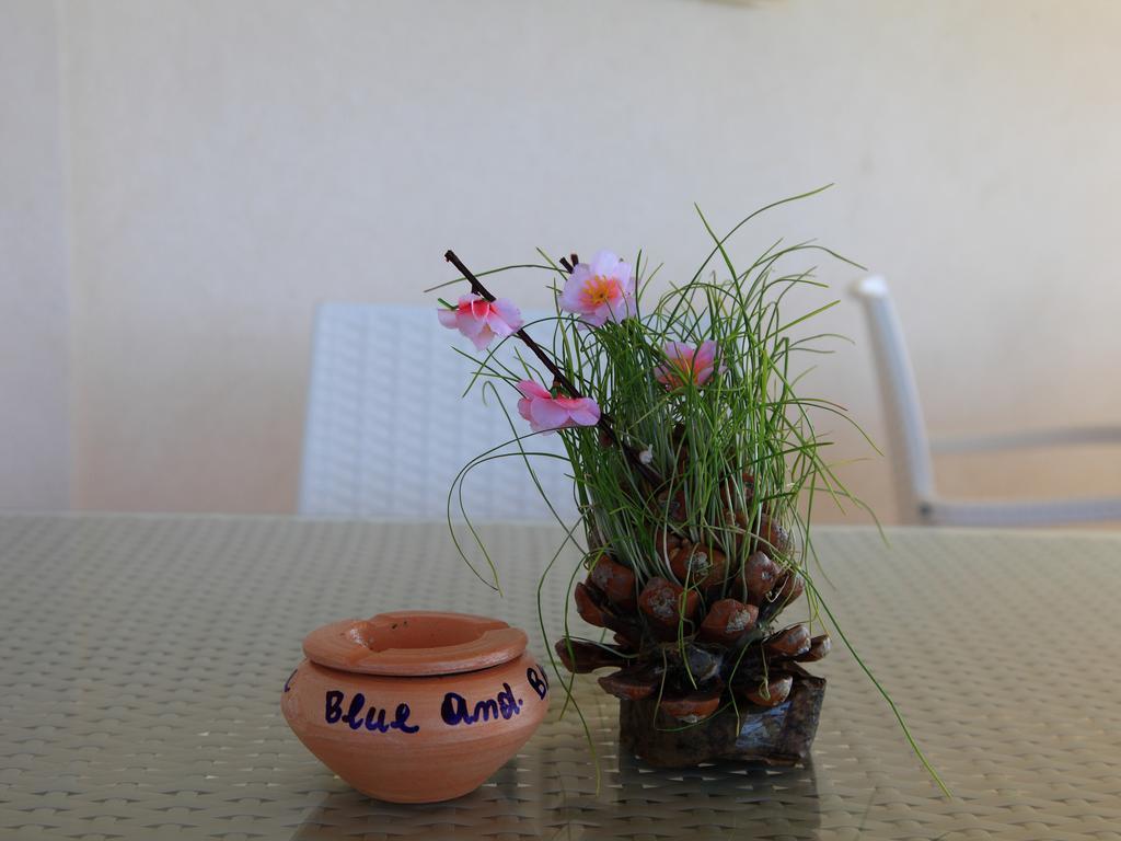 Blue And Blue Bed & Breakfast Torre San Giovanni Ugento Exterior photo